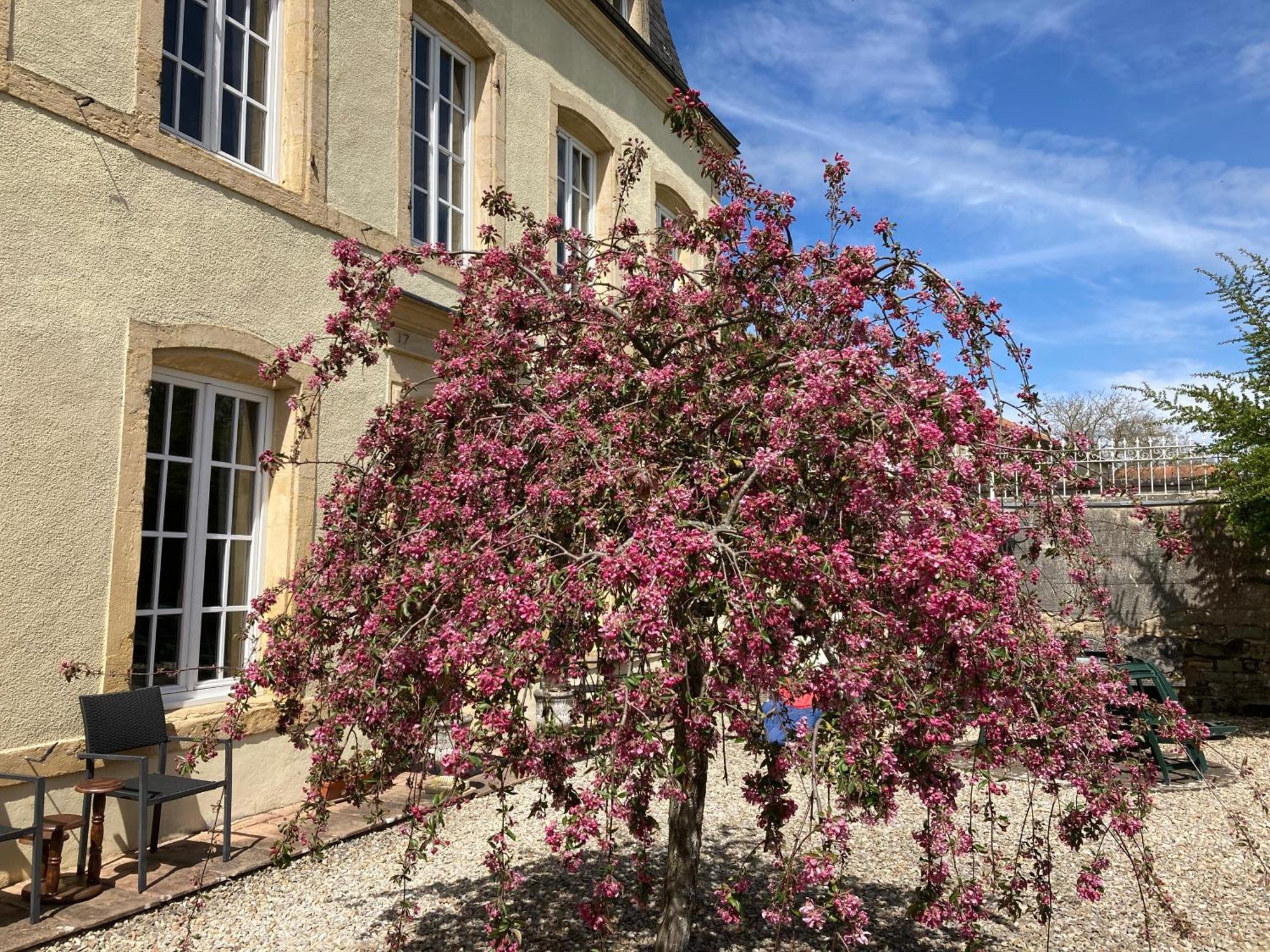 Maison Les Beaux Arts Mouzay  Εξωτερικό φωτογραφία